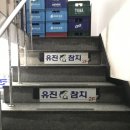 [유진참치 특스페셜 : 응암역 맛집] 당연 내돈내산 100번(과장)은 간 것 같은 응암역 맛집 유진참치 후기