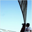 김리나 카카오 검색결과