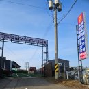 이평우 반려견 교육센터 이미지