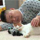 네일몬트 네이버블로그