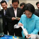 김영선 카카오 검색결과