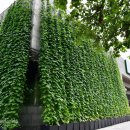 그린모종