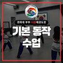 다원태권도장 이미지