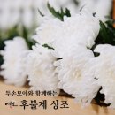 예인상조 이미지