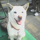 상봉2동 (3) 이미지