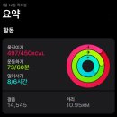 아리라인