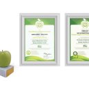 청년, Forest 이미지