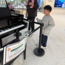 롯데베네통 | 베네통키즈 상하복 컬러트레이닝 구매 후기 착샷 사이즈 팁