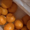 범수네농장 이미지