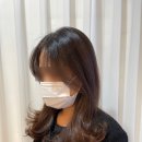 더 크라운 헤어 이미지
