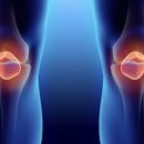 피트니스넘버원 이미지