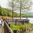 율동공원 이미지