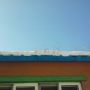 정한농원 이미지