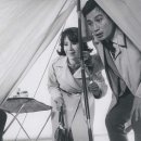 아리랑장식 이미지