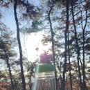 수원-1299 이미지