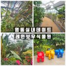 과일나라테마공원3 | 충북 영동 실내데이트 과일나라 테마공원 레인보우식물원 가볼만한곳