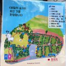 동무농장 | 구좌] 안돌오름 비밀의 숲 : 제주 인생샷 명소, 자연 힐링 스팟, 가볼만한 여행지 후기, 소요시간, 방문팁