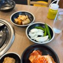 [동래구 감자탕 맛집] &#39;동래 차밭골 돌솥 감자탕&#39; 묵은지 감자탕 먹어본 후기