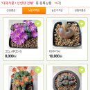 도국식물원