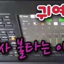 귀여운 여인 설운도 for 운두령발바리 이미지