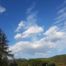 (주)대덕에프에스 이미지