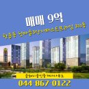 금돼지부동산공인중개사사무소 이미지