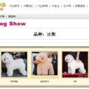 제일애견 이미지