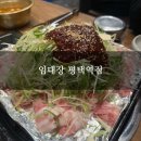 임대장(평택역점) | [평택] 평택역 맛집 파불고기 삼겹살 &#39;임대장 평택역점&#39; 리얼 후기