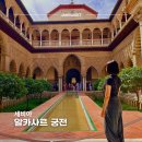 탑비디오방 | 세비야 알카사르 궁전 방문 후기 | 입장줄, 정원, 가이드 투어 비교까지