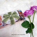 맘마미아 독 이미지