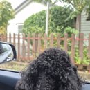 뜨락엔햇살 | 논산 뜨락엔햇살펜션ㅣ침대방 뷰이쁜숙소 논산 애견동반펜션 솔직후기 논산훈련소근처숙소 바베큐 야외...