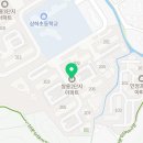초록나무치과의원 Daum카페