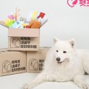 펫프렌즈 이미지