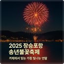 GS25 장승포항구점 | 2025 장승포항 송년불꽃축제 초대가수 이하린, 백프로 (12월31일 장승포 수변공원 일원)