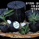 마곡꽃광장