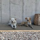 오씨주택 이미지