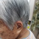 서라벌요양병원 이미지