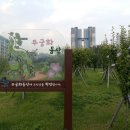 청소년문화공원 이미지