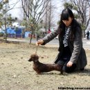 쿠어츠바인에 이미지