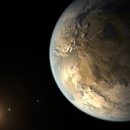 TEAM ANSWER PT SHOP 이미지