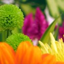 대신행정사 이미지