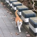 몽글몽글 이미지