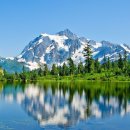 자연-이미지 이미지