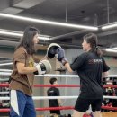 역동복싱 이미지