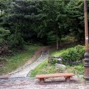 춘천닭갈비 이미지