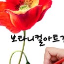 다담시니어