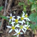 지리산둘레길 1코스 이미지