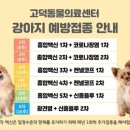 고덕 동물의료센터 이미지