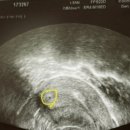 강혜승산부인과의원 이미지