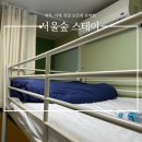 서울숲 스테이 | 성수 서울숲 스테이 게스트하우스 3인 도미토리 룸 후기:가격, 위치 전부 굳